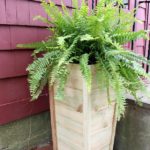 $10 Tall Fence Picket Planter