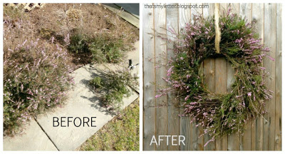 purple heather before and after