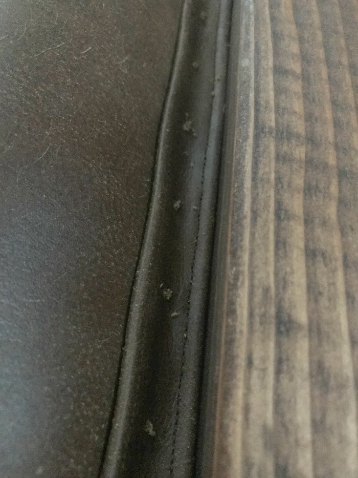 leather upholstered headboard predrill nailheads
