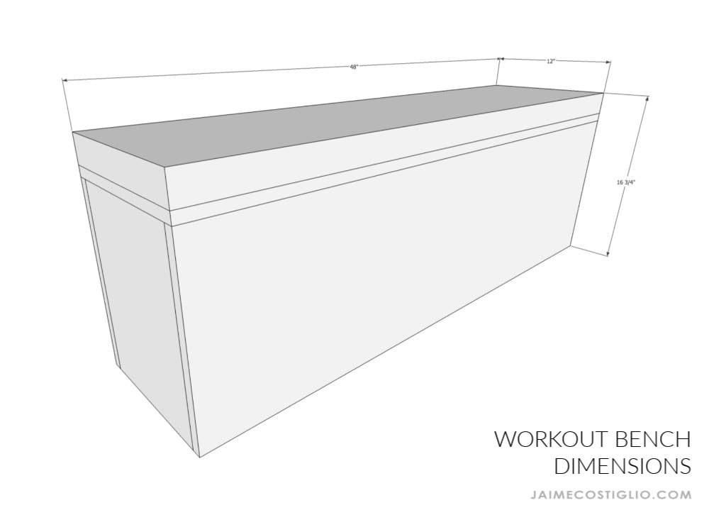 workout bench dimensions