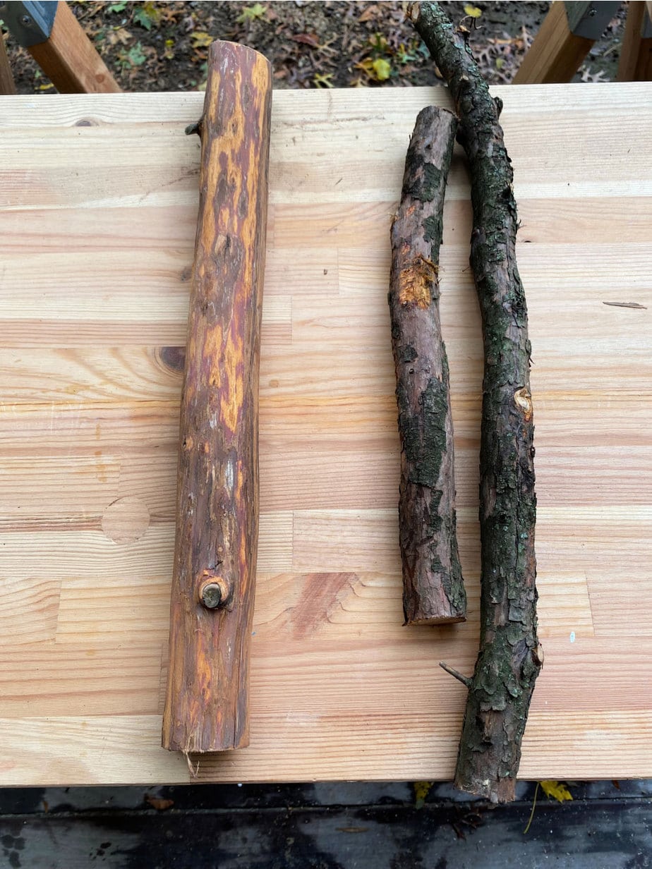 tree logs before and after