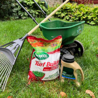 fall lawn projects scotts feed and seed